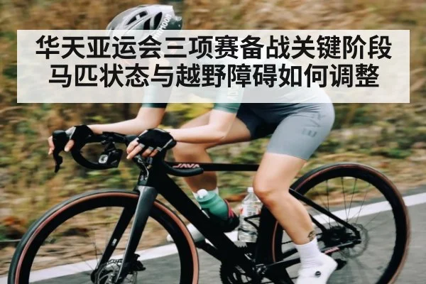 华天亚运会三项赛备战关键阶段马匹状态与越野障碍如何调整